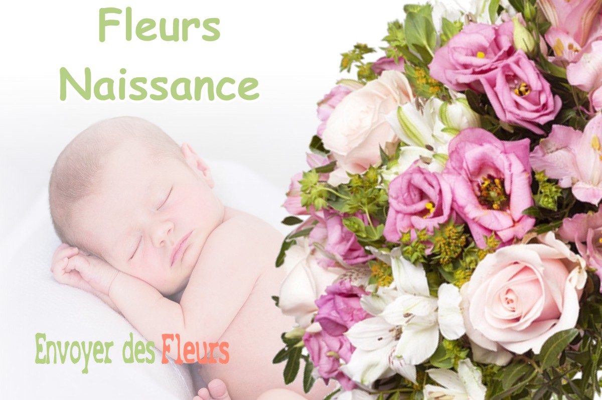 lIVRAISON FLEURS NAISSANCE à LA-PENNE-SUR-HUVEAUNE